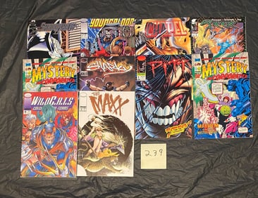 Image Comics Lot w Pitt & Maxx