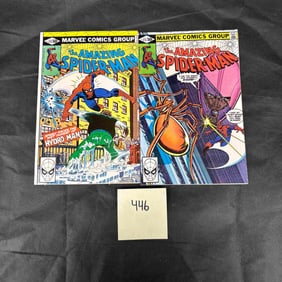Marvel Comics Amazing Spider-man Bronze Age Comic Books