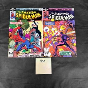 Marvel Comics Amazing Spiderpman 203 & 204  Bronze Age Comic Books