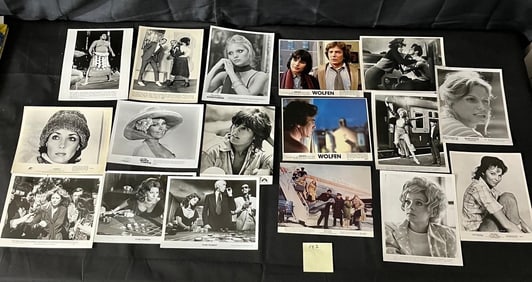Group of Movie Photos, Wolfen Front of House Cards