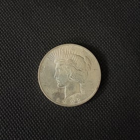 1923 D Peace Dollar