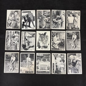 1966 Daktari Cards