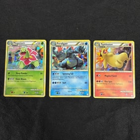 HGSs Holo Meganium, Feraligatr, Typhlosion