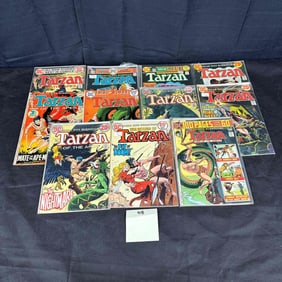 DC Comics Tarzan Bronze Age Comic Books