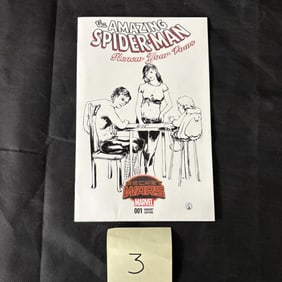 Amazing Spider-man 1 Original Art on Sketch Cover