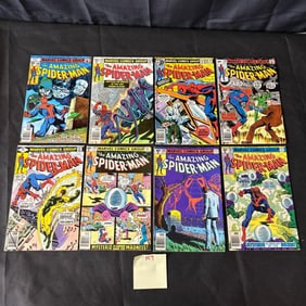 Marvel Comics Amazing Spider-man Bronze Age Comics