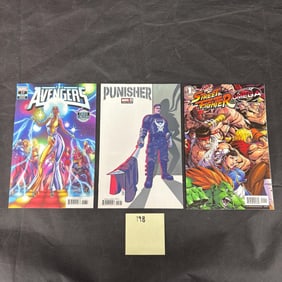Modern Age Variant Comics Punisher, Street Fighter