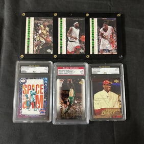 Lebron James Graded Cards, & Top Prospect Display
