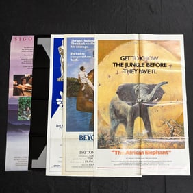 Historical Movie Posters, Malcolm X +