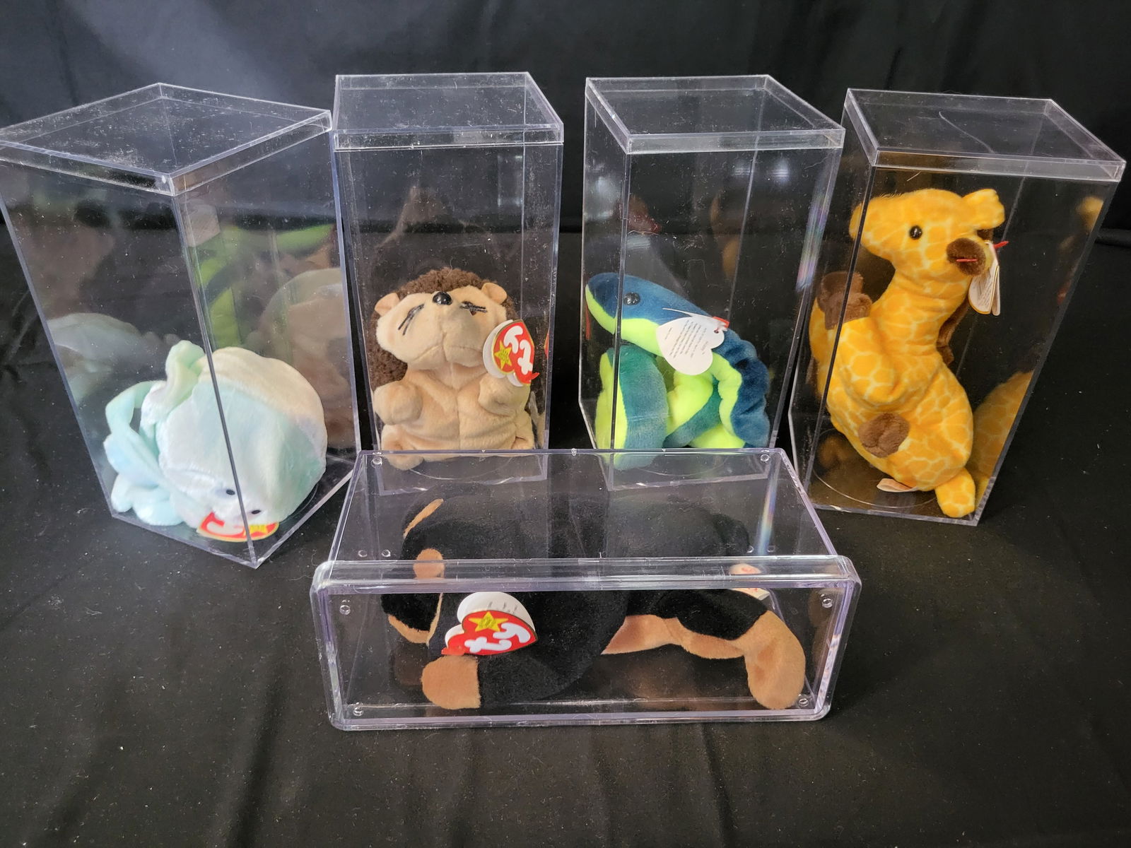 I00039 A Collection of Ty Beanie Babies in Acrylic Display Cases (1 of 6)