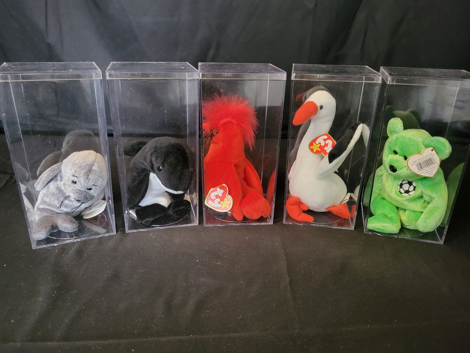 I00041 A Collection of Ty Beanie Babies Plush Toys in Acrylic Display Cases (1 of 6)