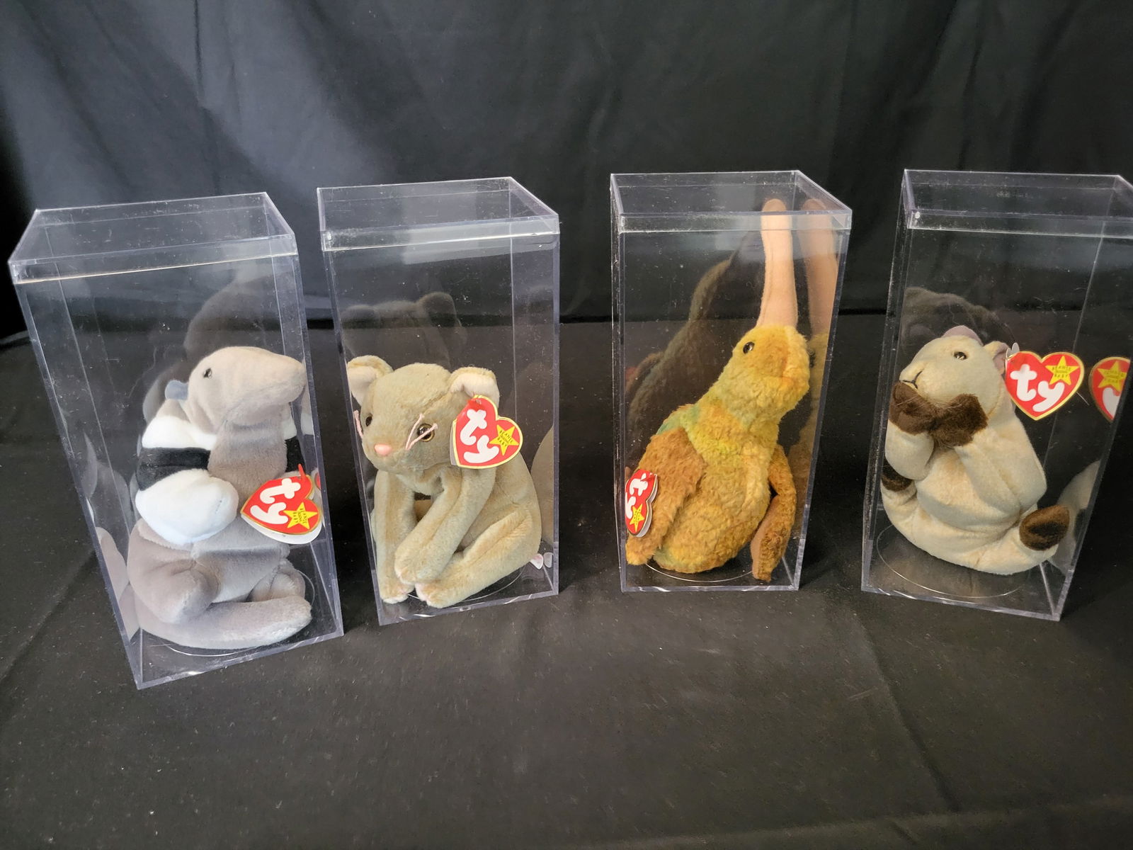 I00042 A Collection of Ty Beanie Babies including Scat the Cat (1 of 5)