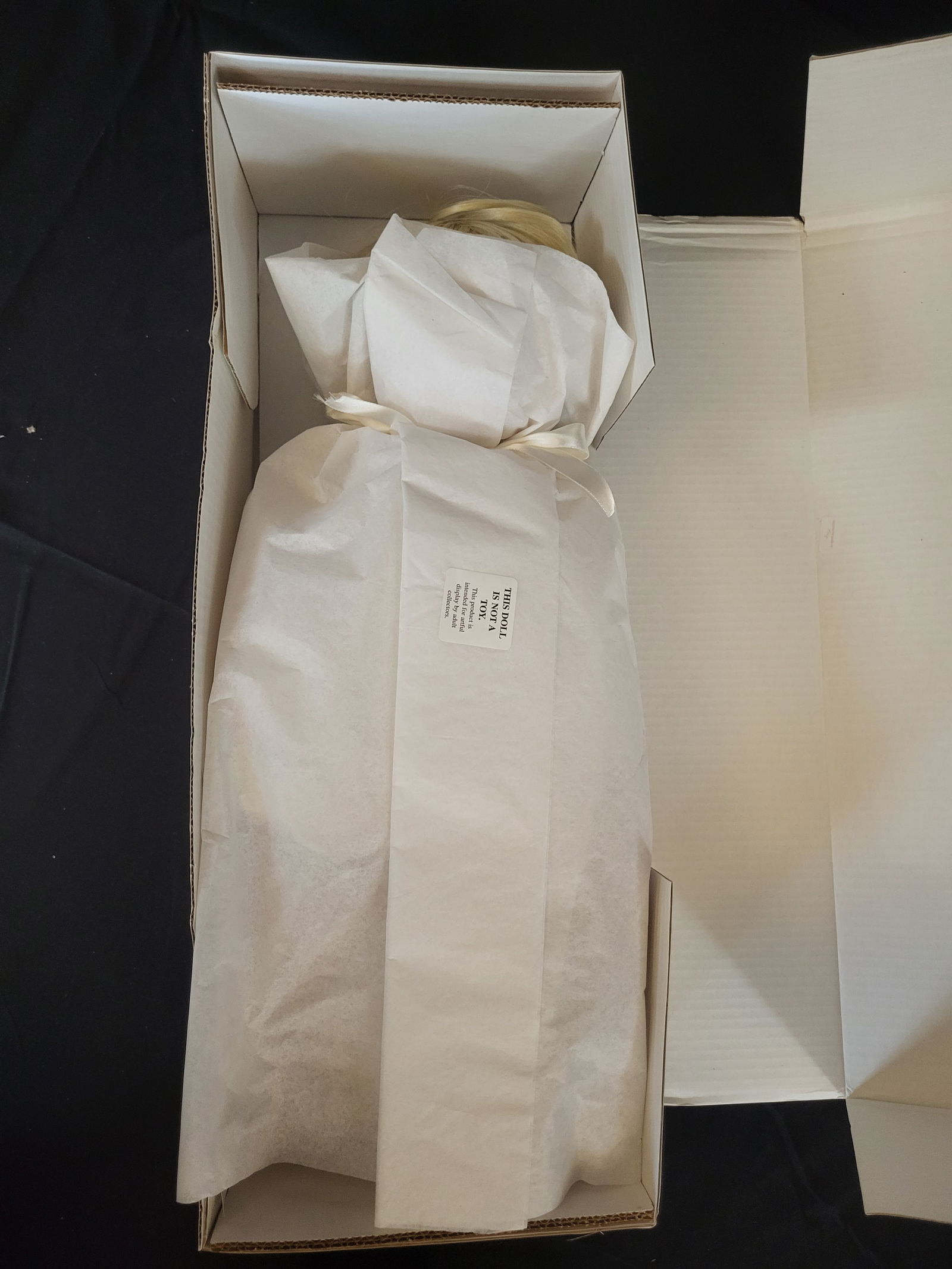 I00015 Lee Middleton American Beauty Collector Doll Model 00462 (1 of 7)