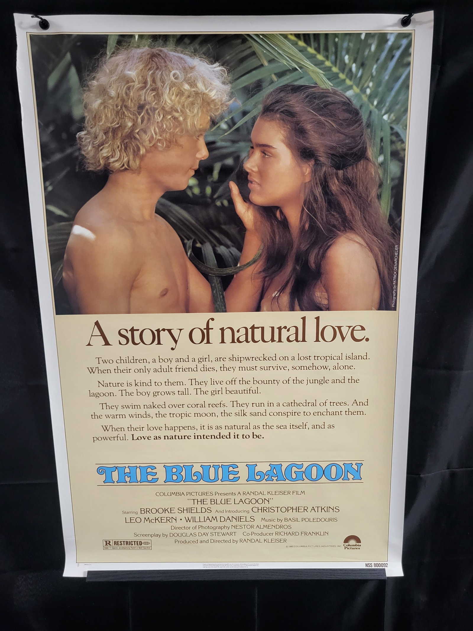 I00449 Original Theatrical Movie Poster for The Blue Lagoon 1980: BID PER WHAT YOU SEE IN THE PHOTO, NOT THE AI GENERATED TITLES AND DESCRIPTIONS! This original theatrical movie poster for the 1980 film The Blue Lagoon features a photographic image by Patrick Demarc