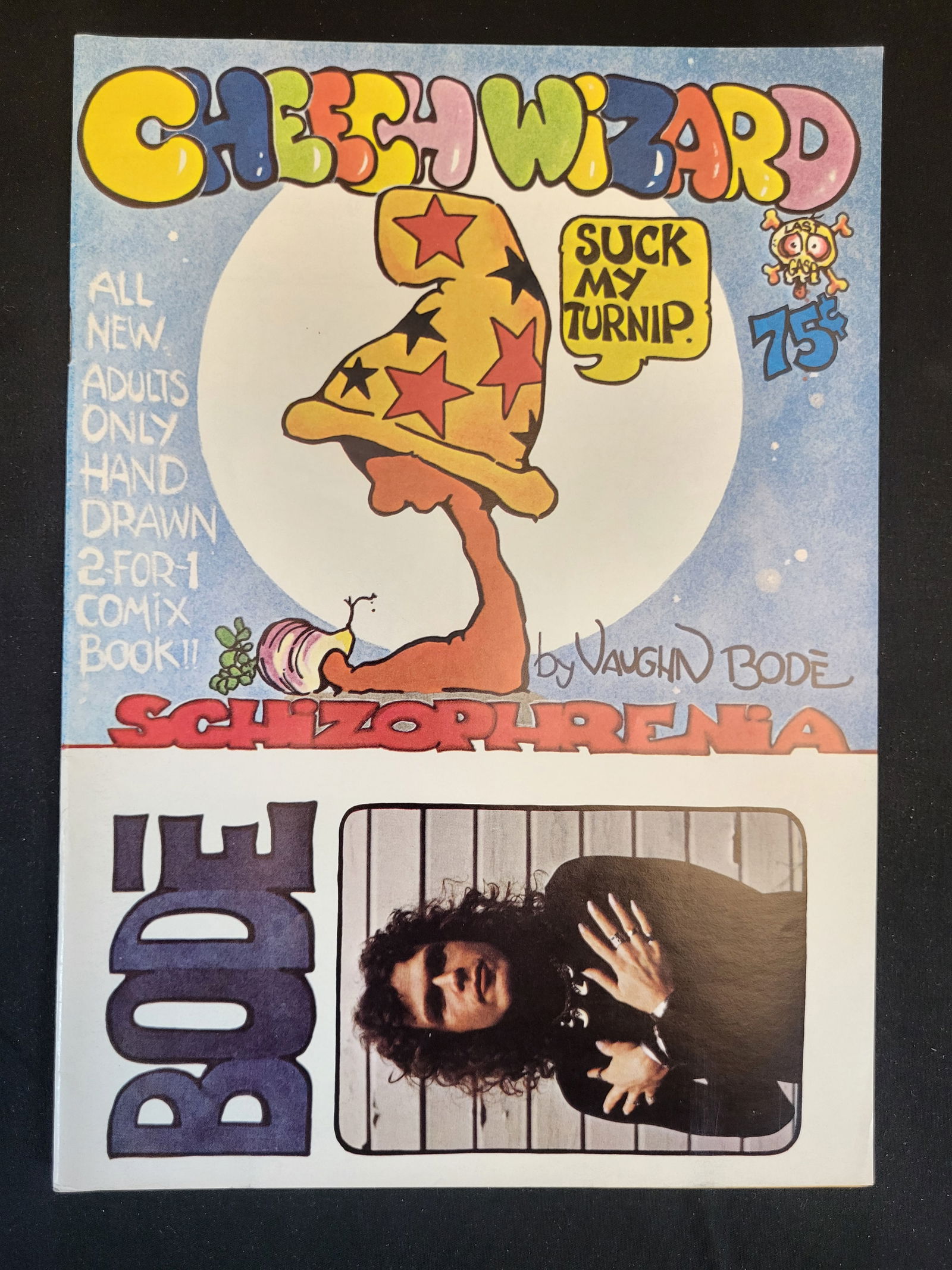 Cheech Wizard Schizophrenia Vaughn Bode Last Gasp 1973 Underground Comic: BID PER WHAT YOU SEE IN THE PHOTO, NOT THE AI GENERATED TITLES AND DESCRIPTIONS! Cheech Wizard Schizophrenia underground comic book by artist Vaughn Bode, published by Last Gasp in 1973. The front cov