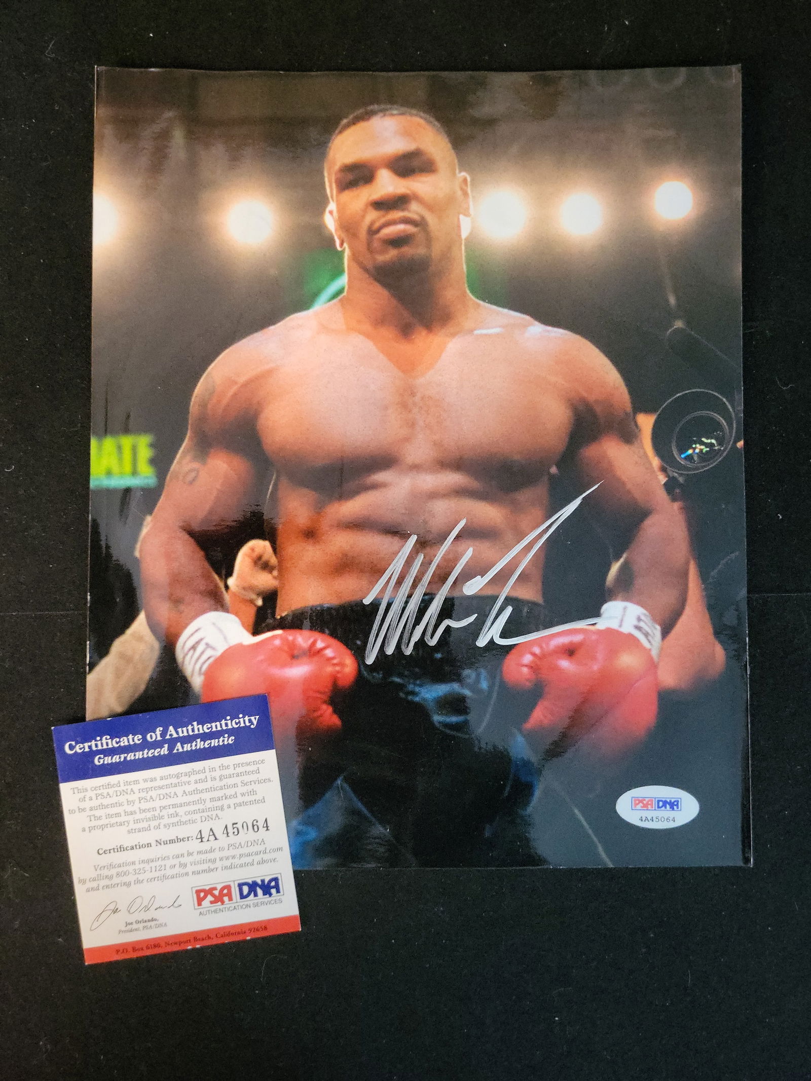 I00953 | Mike Tyson Autographed Photograph, PSA/DNA Authenticated: BID PER WHAT YOU SEE IN THE PHOTO, NOT THE AI GENERATED TITLES AND DESCRIPTIONS! Mike Tyson Autographed Photograph, PSA/DNA Authenticated This professional boxing collectible features a hand-signed ph