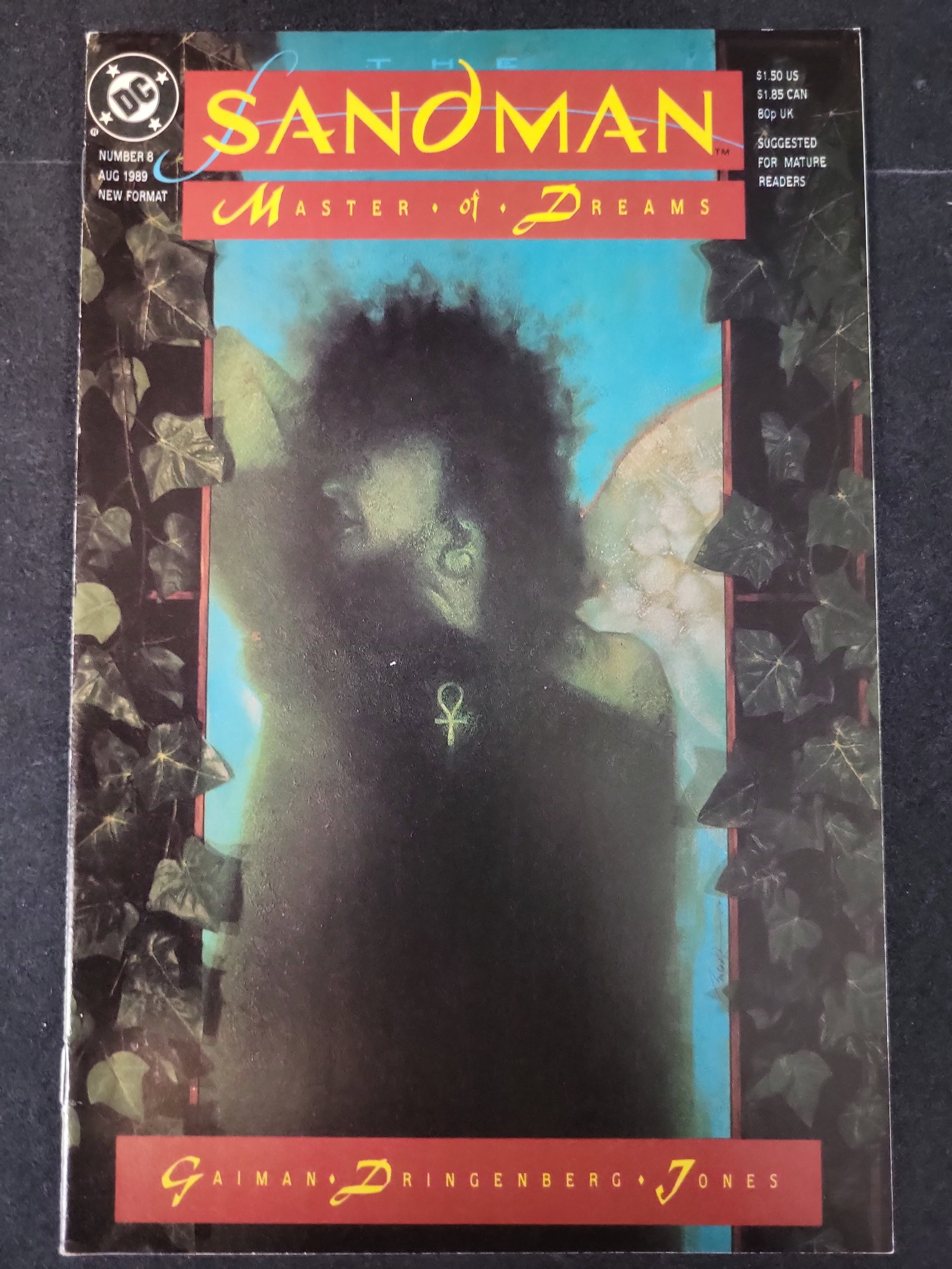 I02445 | The Sandman No. 8 DC Comics August 1989 First Appearance of Death (1 of 2)