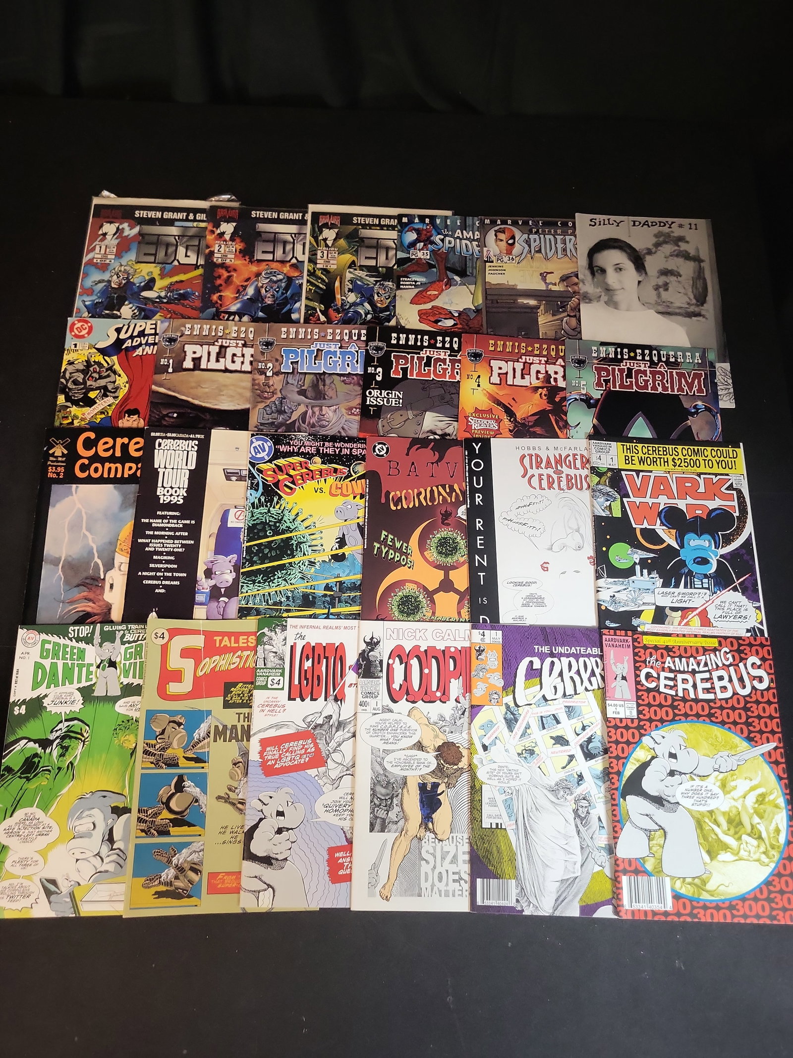 I02658 | A Collection of Modern Age Independent and Marvel Comic Books Featuring Cerebus Parodies: BID PER WHAT YOU SEE IN THE PHOTO, NOT THE AI GENERATED TITLES AND DESCRIPTIONS! A Collection of Modern Age Independent and Marvel Comic Books Featuring Cerebus Parodies and Just a Pilgrim This collec