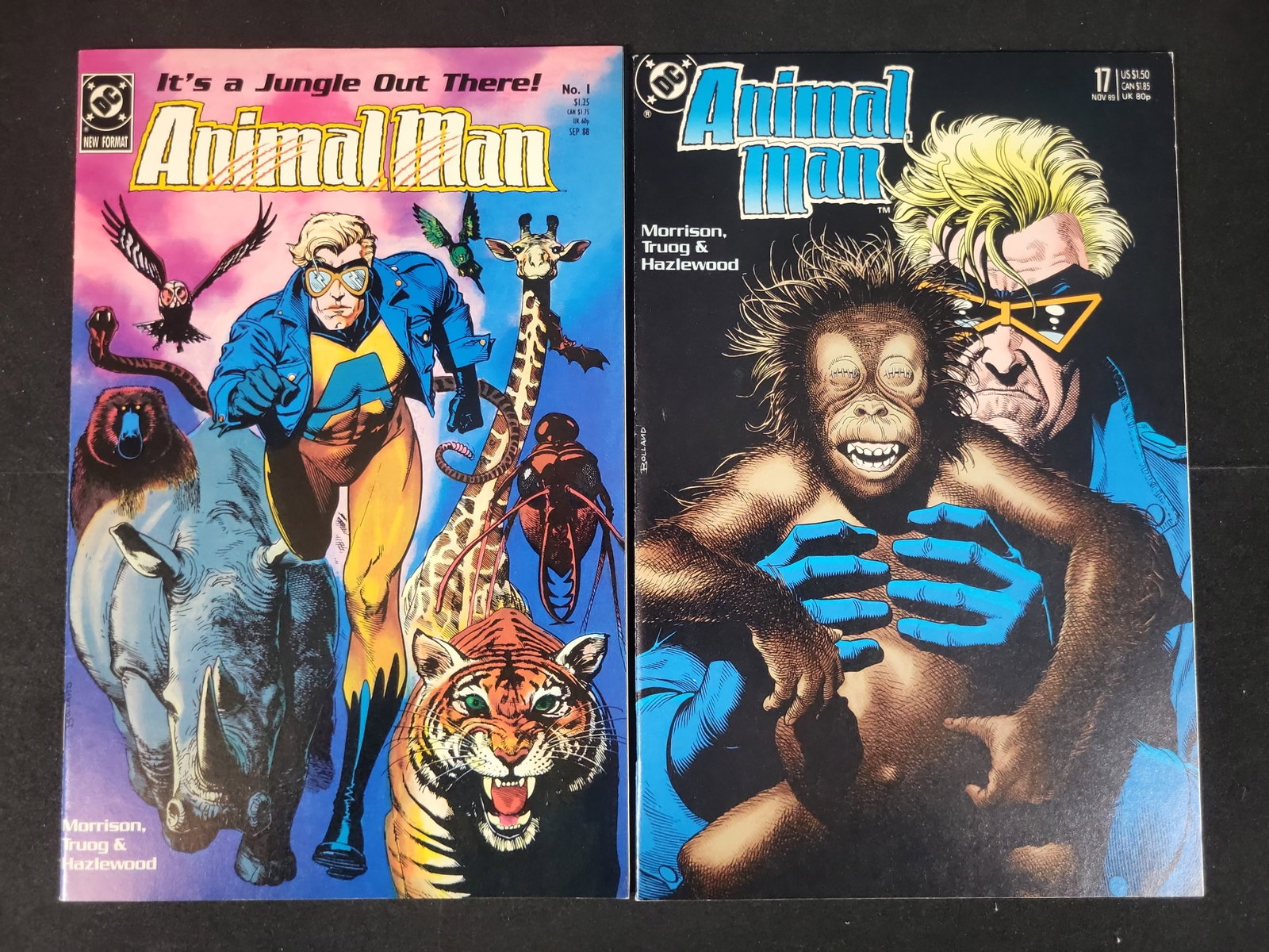 I02267 | Two Animal Man Comic Books including Issue 1 and 17 DC Comics 1988-1989 (1 of 2)