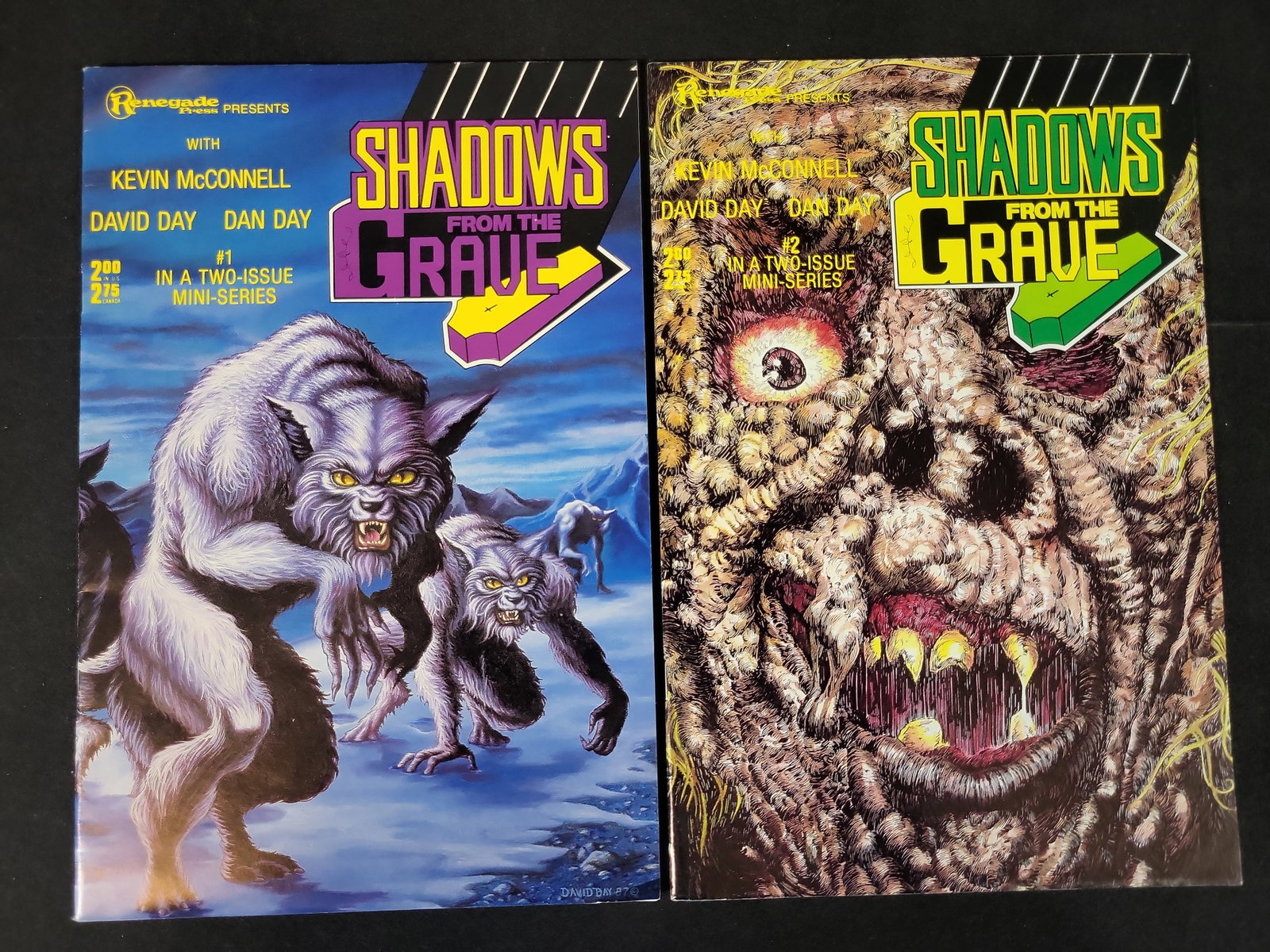 I02339 | A Pair of Shadows from the Grave Comic Books, Renegade Press, Issues #1 and #2 Complete (1 of 3)