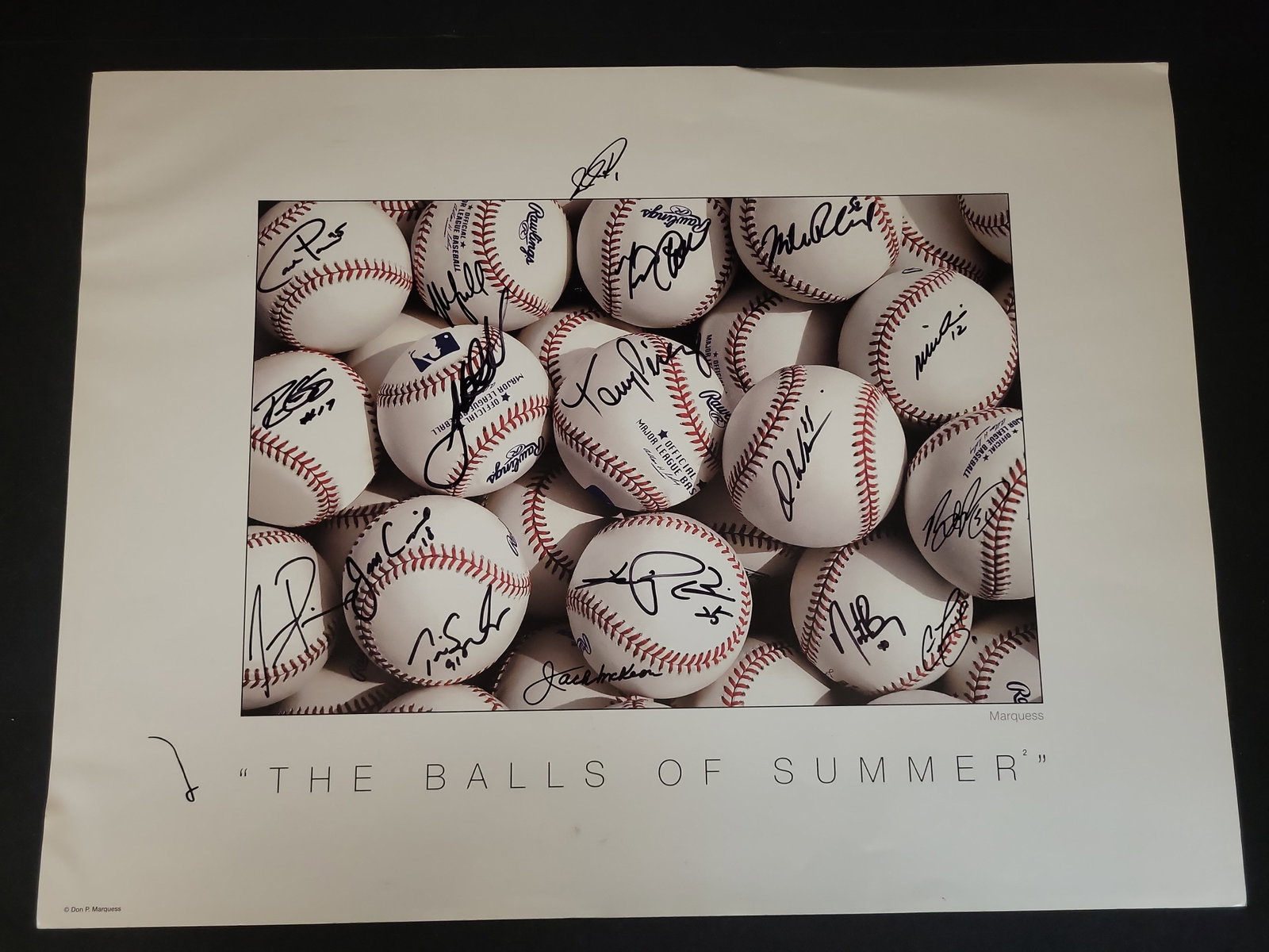 I03459 | Don P. Marquess Multi-Signed The Balls of Summer II Photographic Art Poster: BID PER WHAT YOU SEE IN THE PHOTO, NOT THE AI GENERATED TITLES AND DESCRIPTIONS! A photographic art poster titled The Balls of Summer² by artist and photographer Don P. Marquess, hand-signed by m