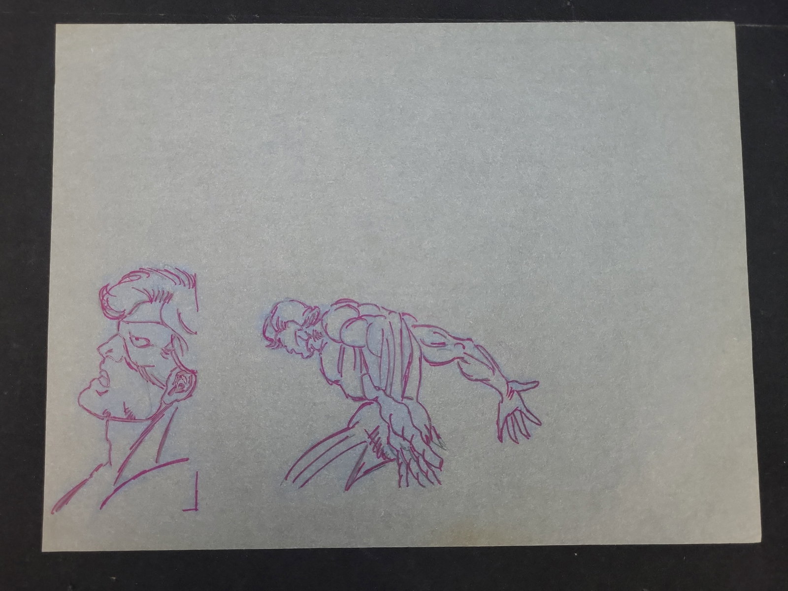 I03927 | Marvel Animation Production Drawing Featuring Studies of Wolverine (1 of 4)