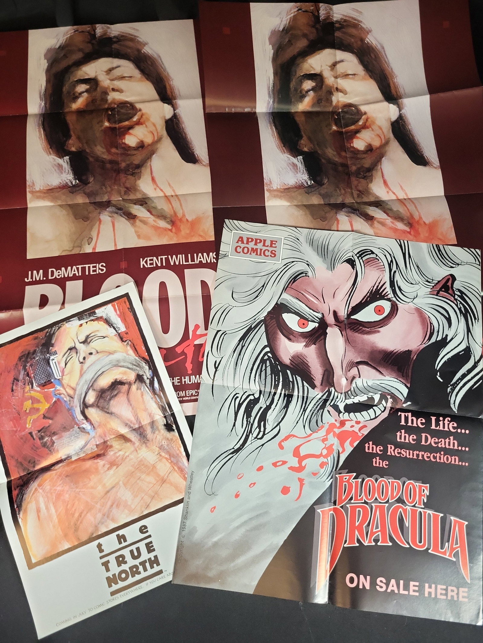 I03909 | Collection of Comic Book Promotional Posters and Flyers including Blood A Tale and Blood of (1 of 6)