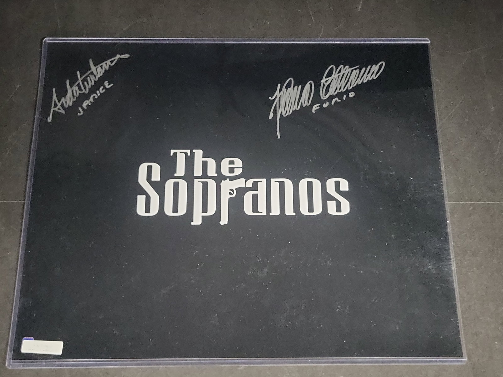 I04360 | Signed Sopranos Dual Autographed Photo: IMPORTANT â€“ PLEASE REVIEW BEFORE BIDDING: Aeron House makes every effort to accurately identify and describe each lot; however, titles and descriptions may contain errors, omissions, or AI-a