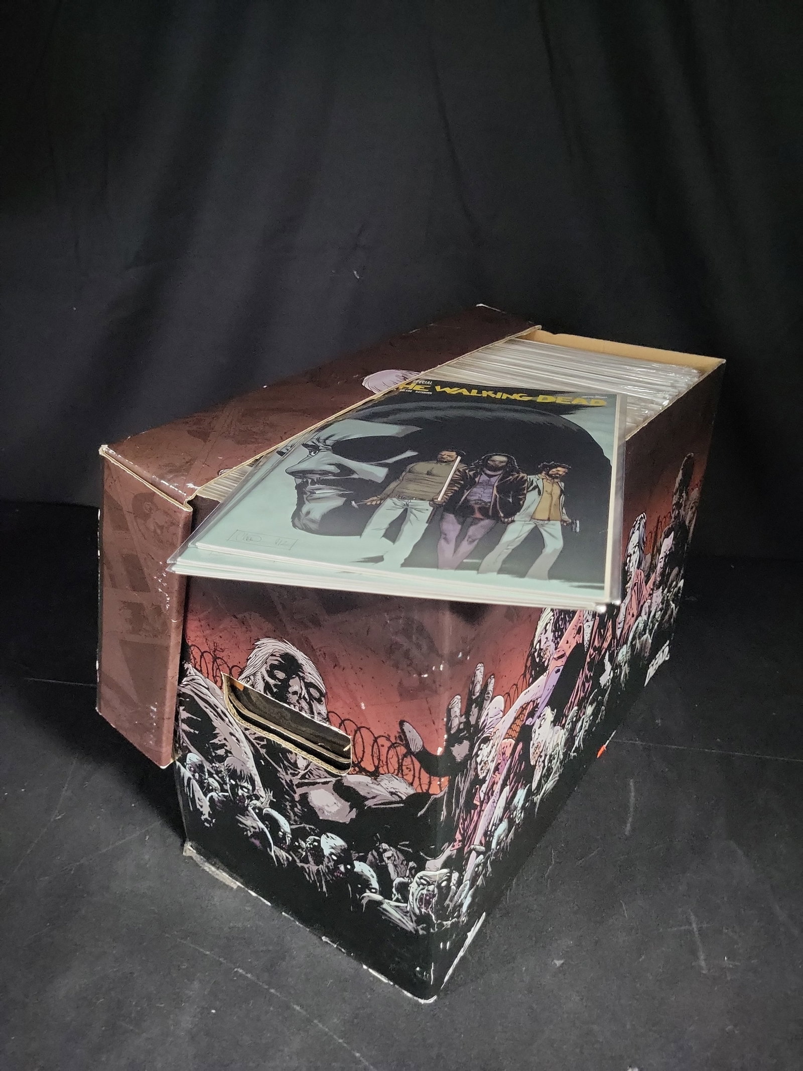 I04620 | Collection of Walking Dead Comics (1 of 3)