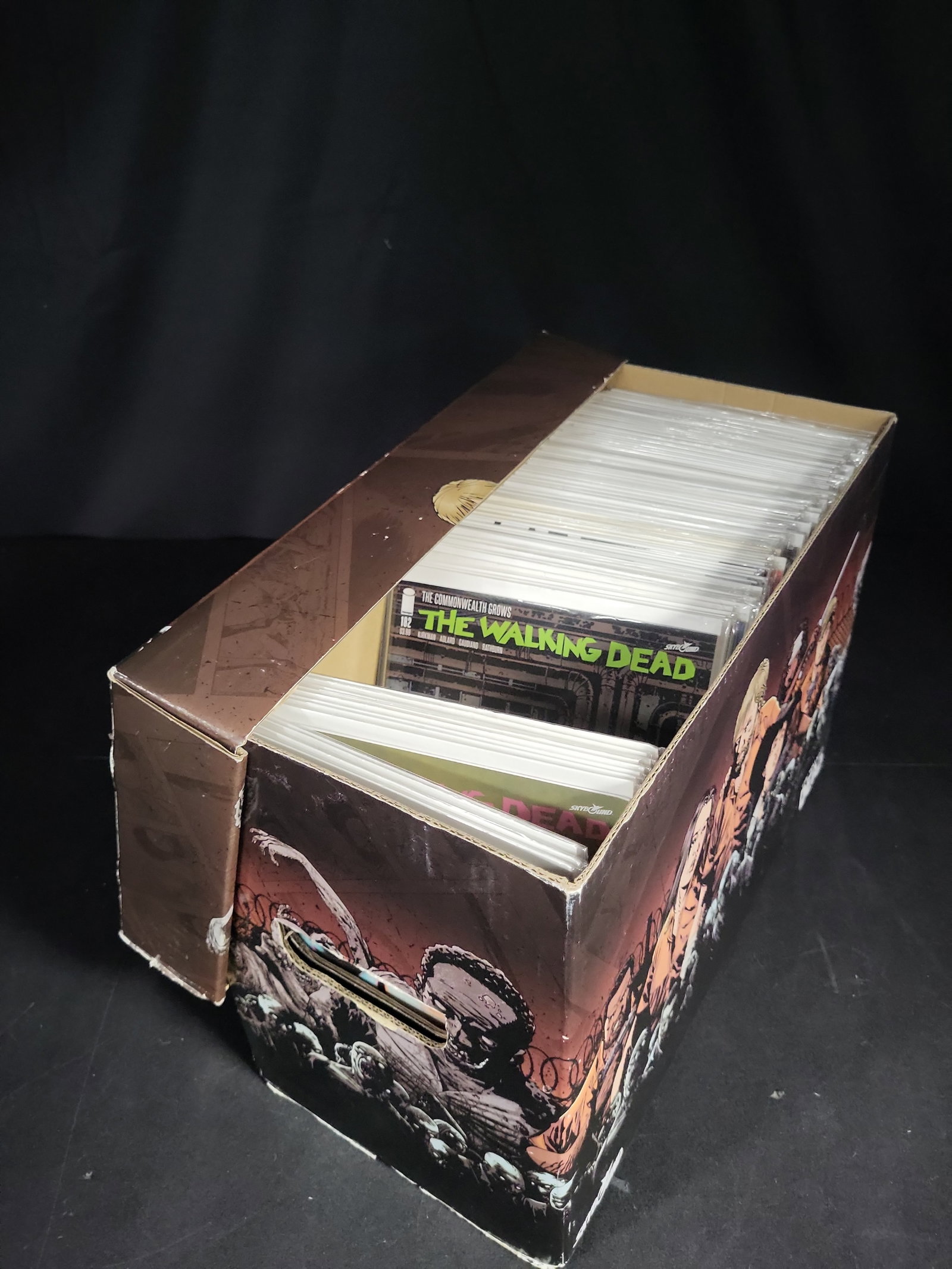 I04623 | Walking Dead Comic Book Collection (1 of 3)