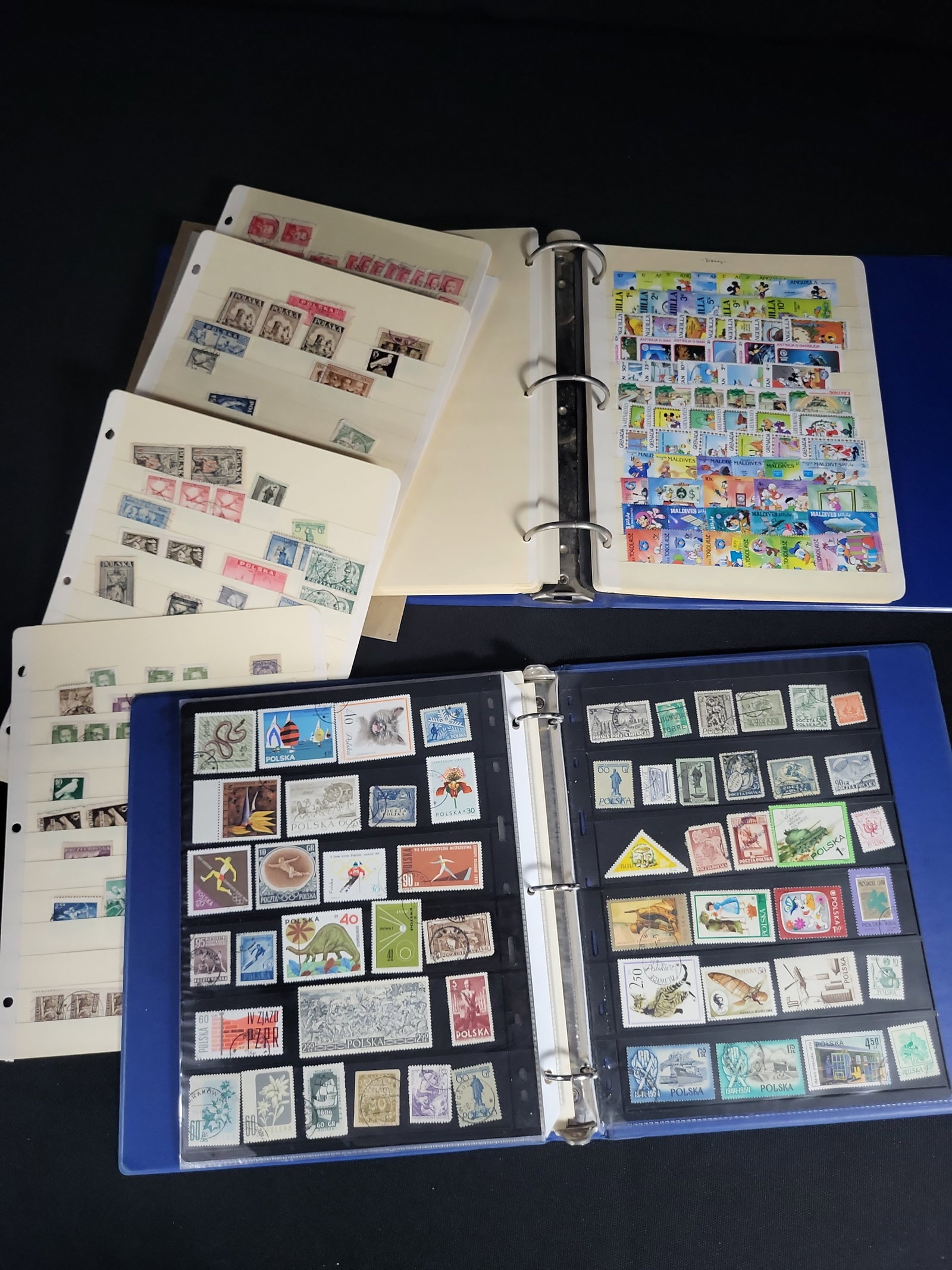 I04877 | World Philatelic Collection, Binders and Stock Pages (1 of 20)