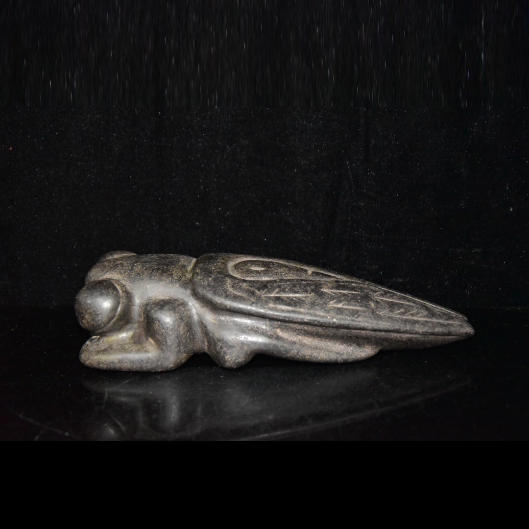 Meteor, Cicada: Meteorite, Cicada Freight: 1.International Freight: Foreign shipping charges are determined by destination. 2.Photos, descriptions and valuations have been meticulously prepared by fully certified exp