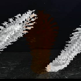 Ming dynasty style white porcelain glazed Thousand-Handed Guanyin: Ming dynasty style Dehua kiln 'He Chaozong' signature white glazed thousand-hand Guanyin, fine body texture, uniform and full glazing, well-preserved, color as shown, height 43cm width 25cm Freight: 1