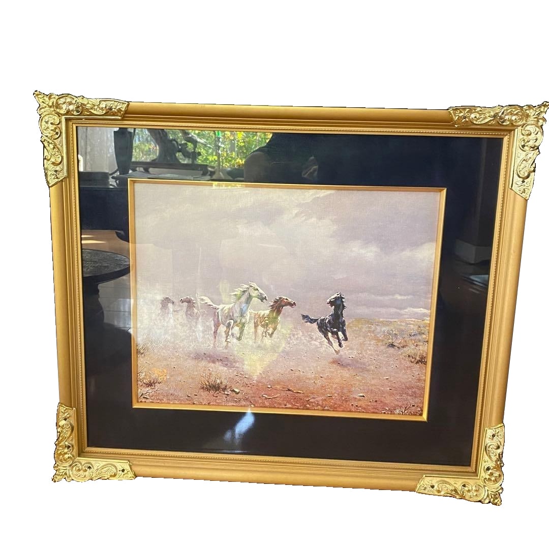 Peter Nicola Albo's 'Wild Horses' (1 of 10)