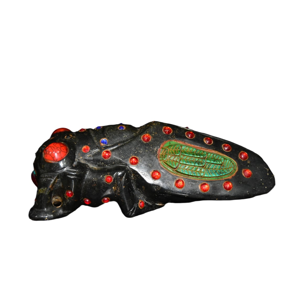 Turquoise Cicada (1 of 9)