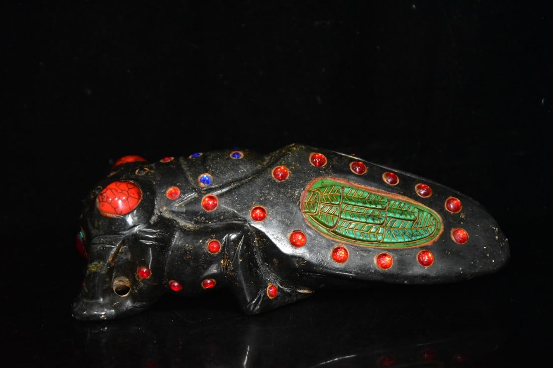 Turquoise Cicada - 2