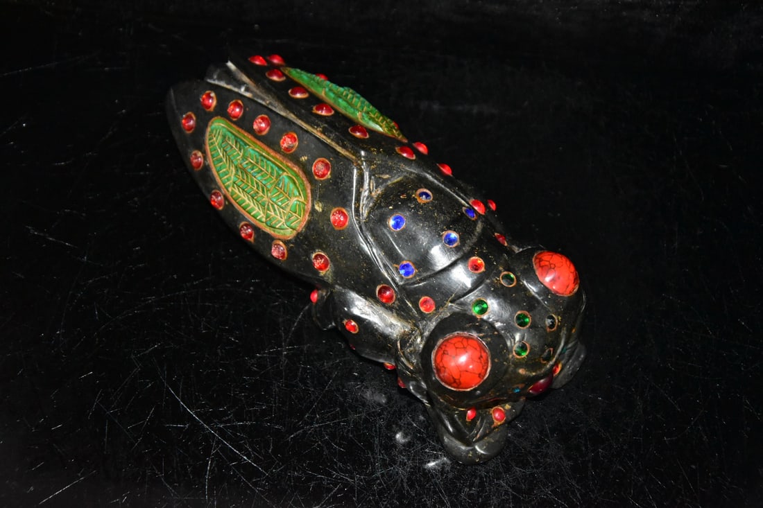 Turquoise Cicada - 5