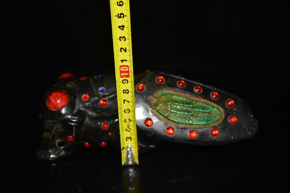 Turquoise Cicada - 8