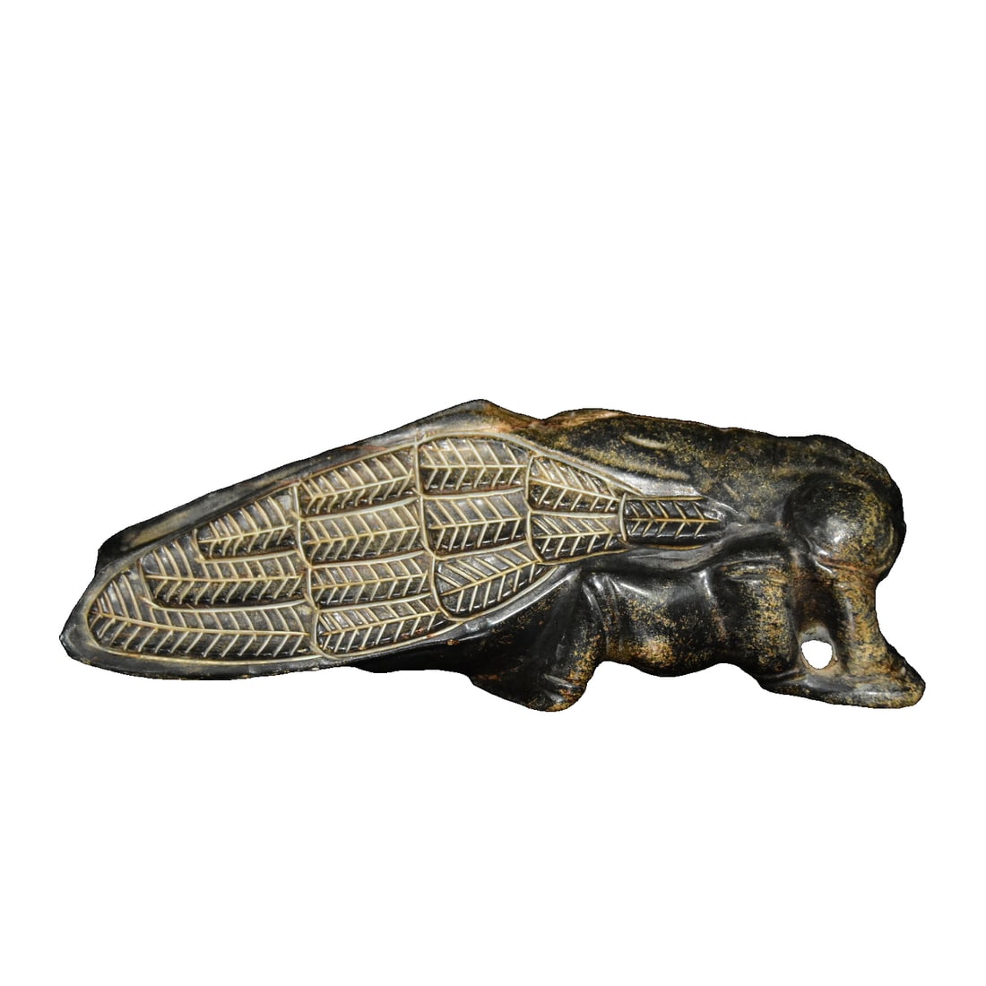 Meteorite Golden Cicada: Meteorite Golden Cicada Freight: 1.International Freight: Foreign shipping charges are determined by destination. 2.Photos, descriptions and valuations have been meticulously prepared by fully certifi