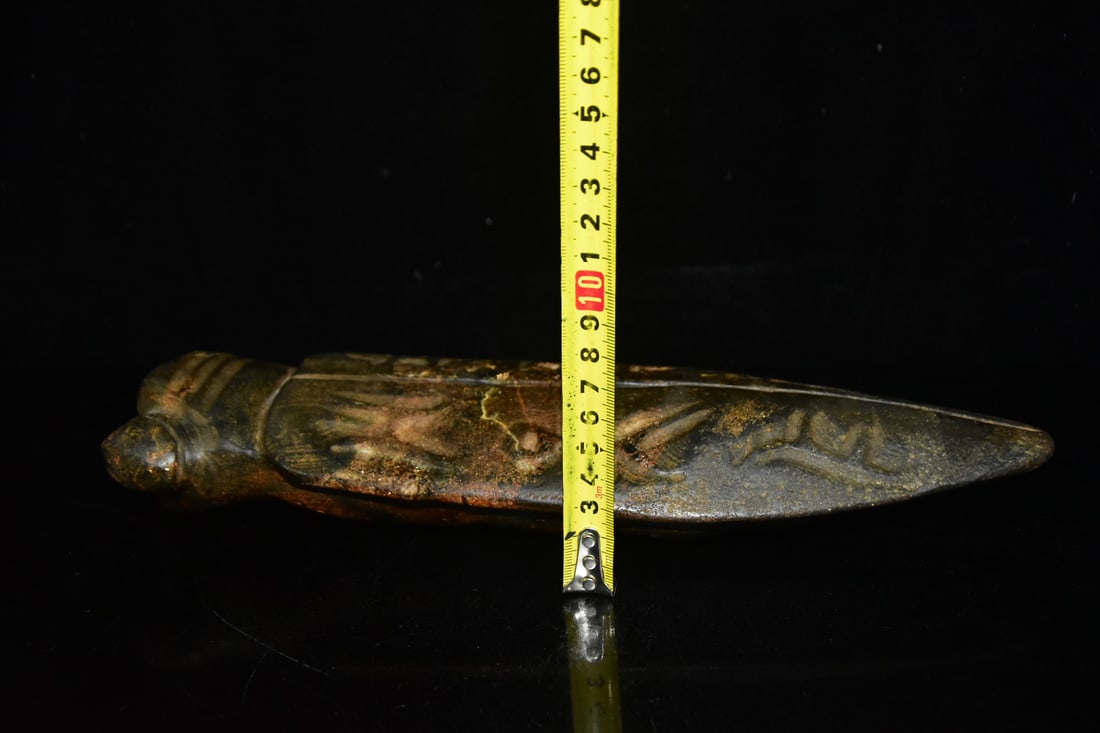 Meteorite Cicada - 10