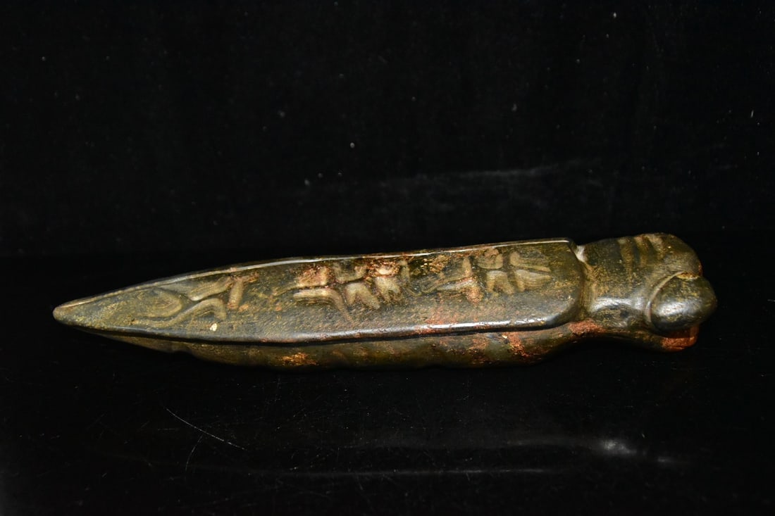 Meteorite Cicada - 2