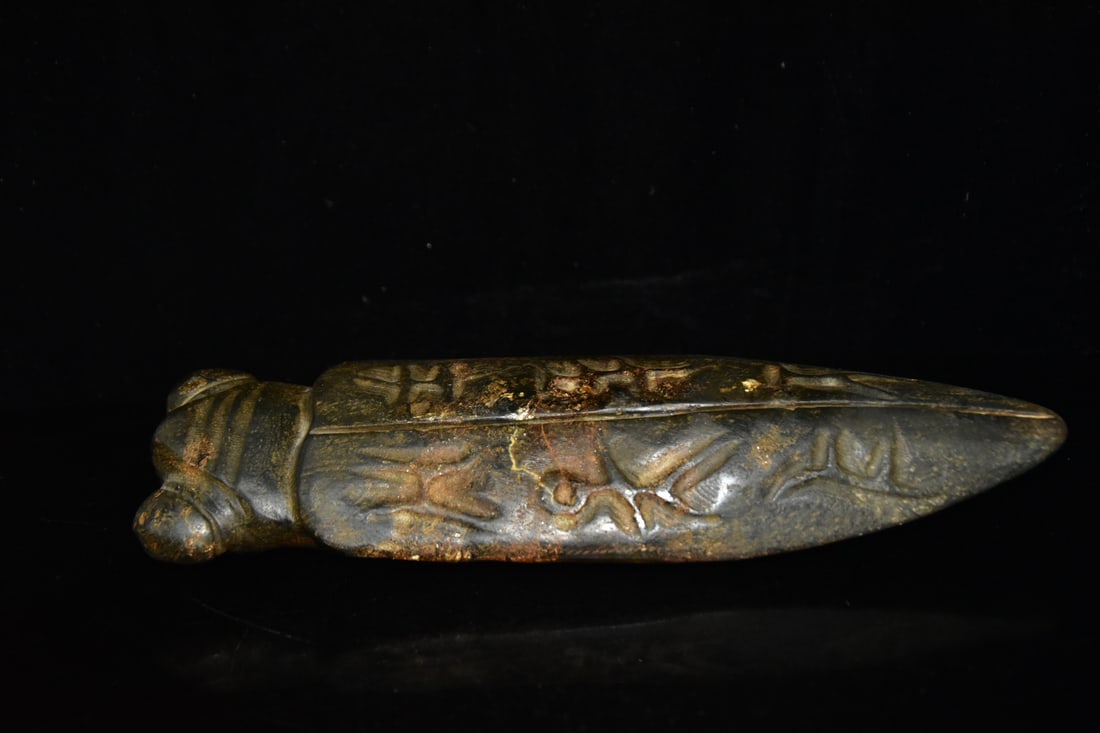 Meteorite Cicada - 3