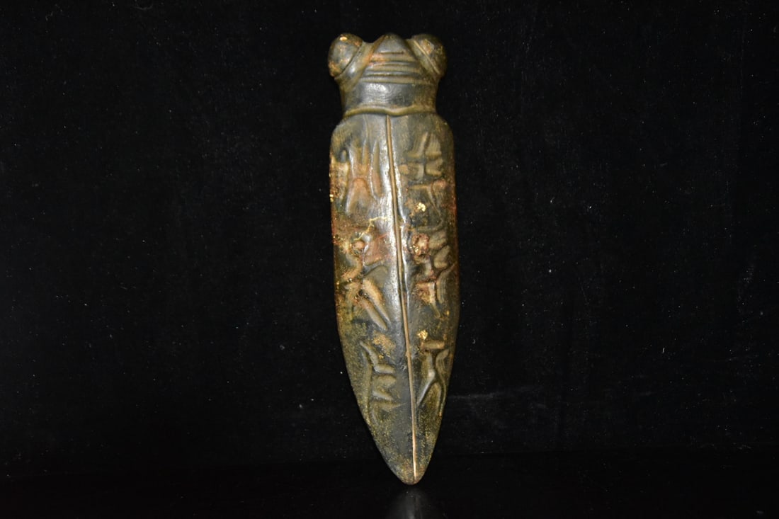 Meteorite Cicada - 5