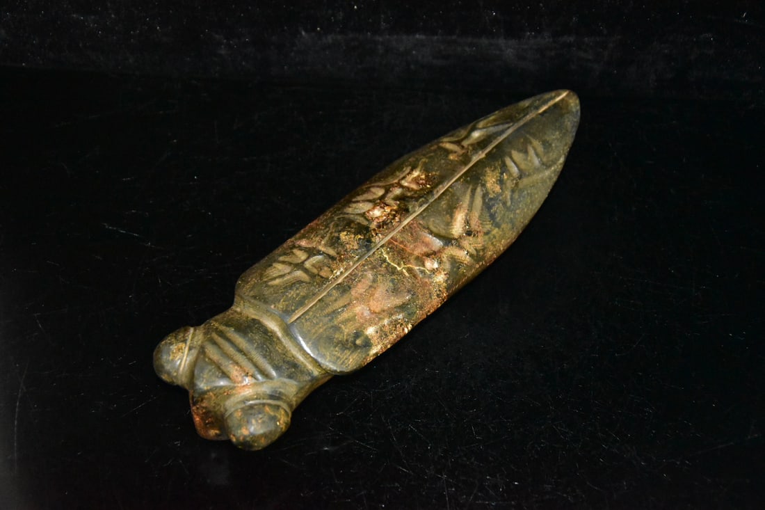 Meteorite Cicada - 7