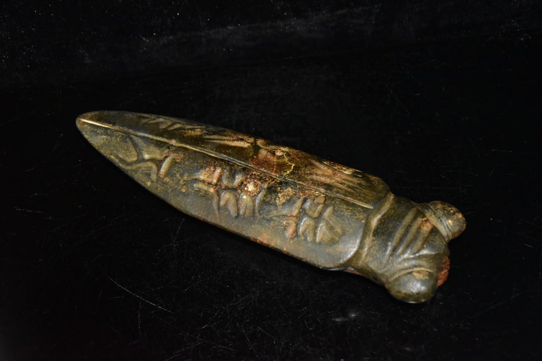 Meteorite Cicada - 8