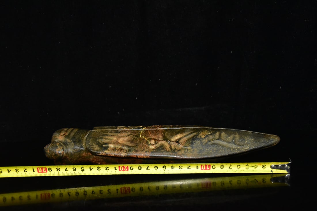 Meteorite Cicada - 9