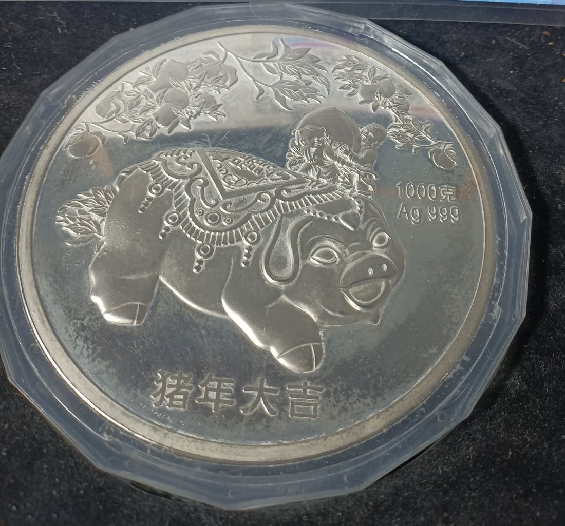 Commemorative Reference Silver Coin - 4