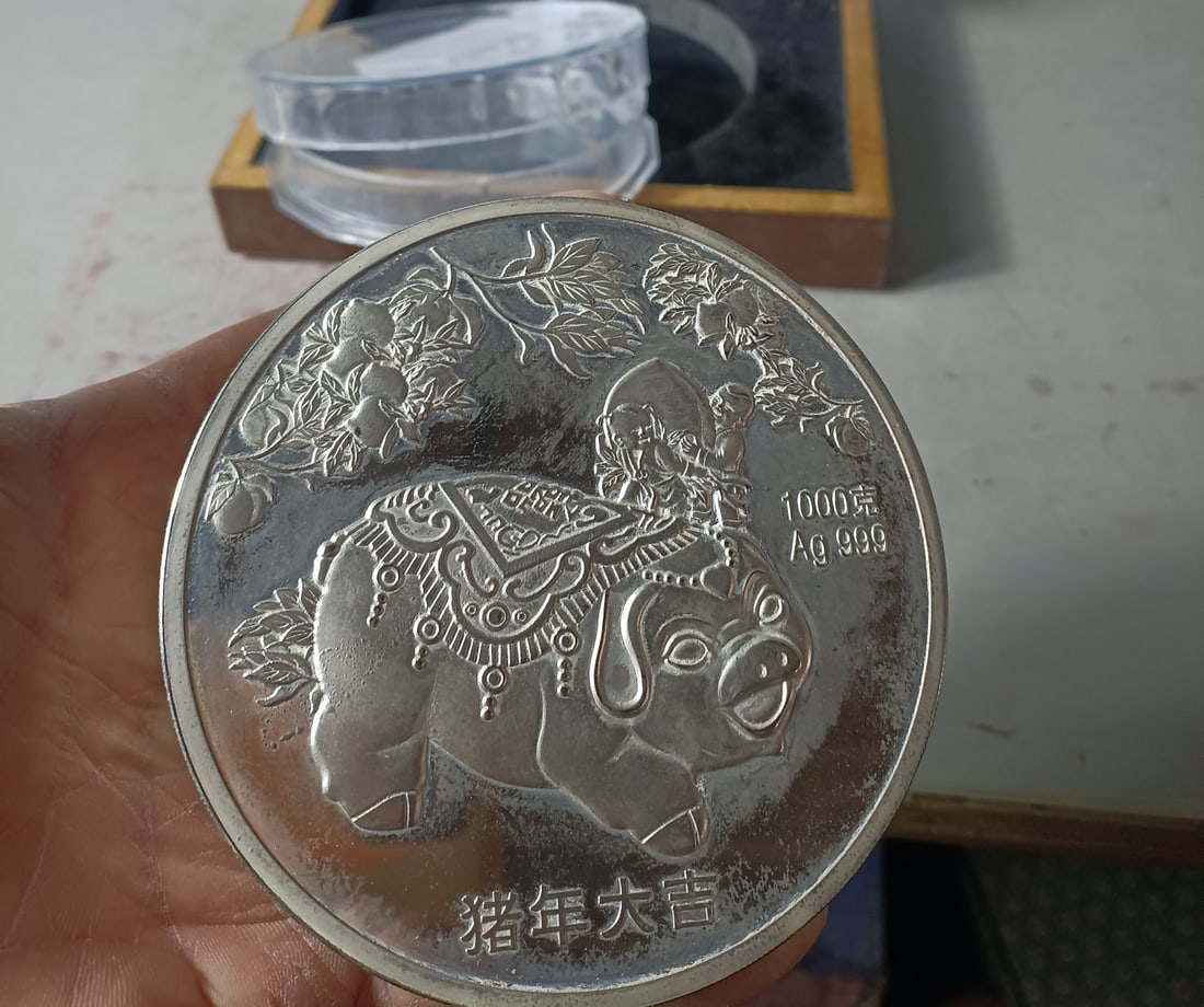 Commemorative Reference Silver Coin - 5