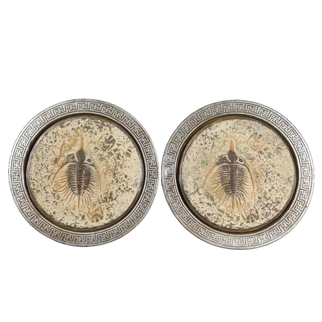 Fossilized silver swallows stone: Silver Swallow Stone, fossils refer to the general term for the remains and relics of organisms or organisms that have been petrified in the strata. After petrification for millions of years, it is tr