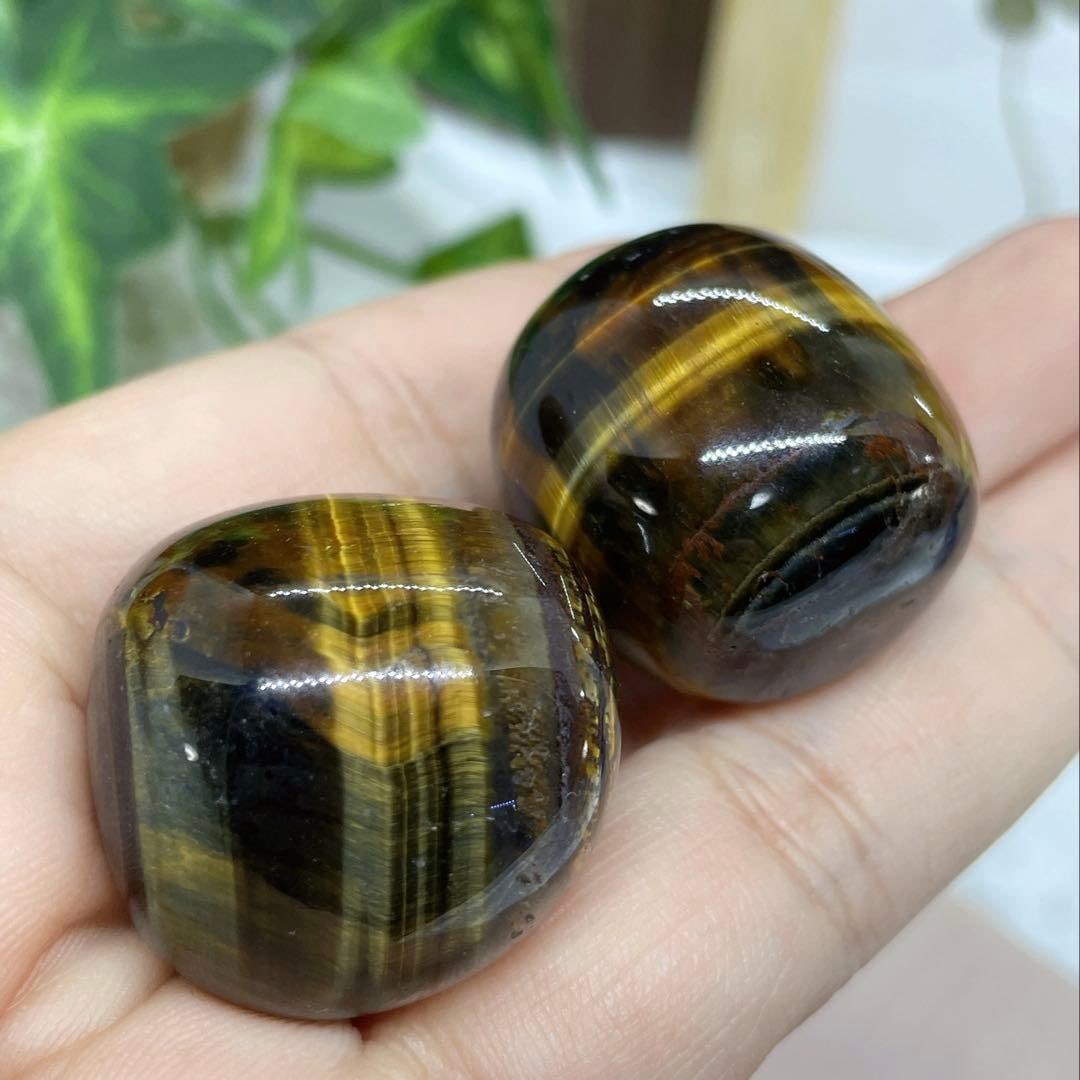 Tiger's Eye (1 of 2)
